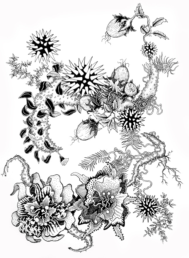 Motif Floral Et   Pineux 52